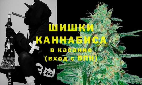 твердый Карпинск