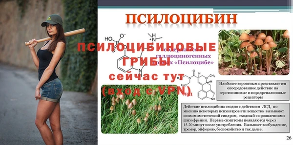 мяу мяу мука Карталы