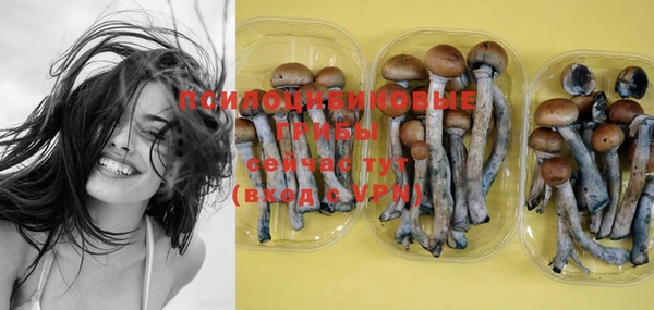 PSILOCYBIN Усинск