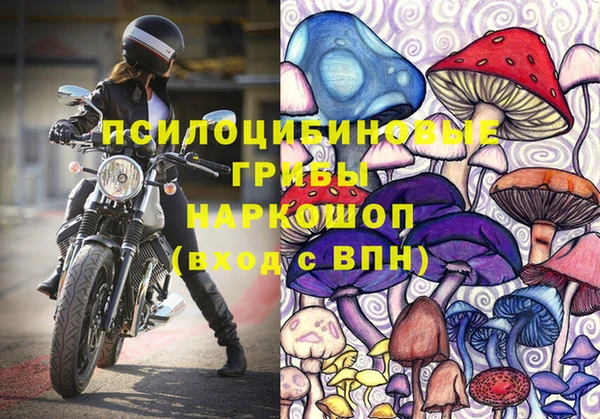 кокс Кинешма